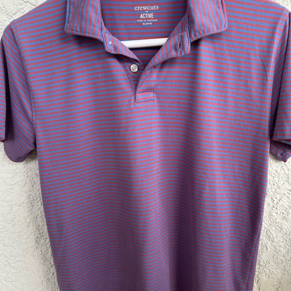 Crewcuts Other - Crewcuts Men's Polo with Purple and Pink Stripes